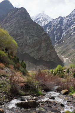 Lahaul Vadisi 'nin vahşi doğası, karla kaplı Himalaya dağları ve dağ ormanlarının manzarası, lahaul ve spiti, himachal pradesh, Hindistan 
