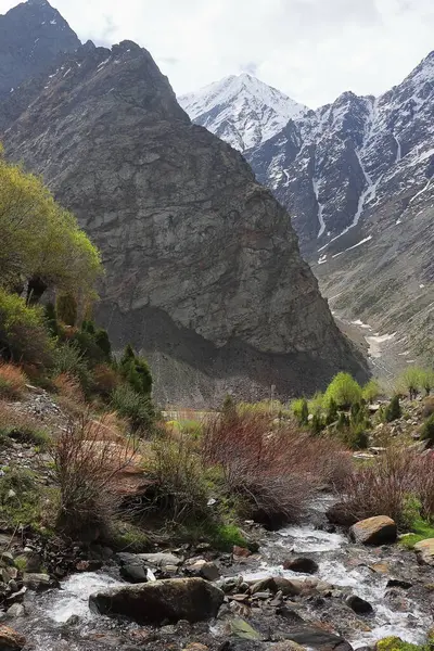 Lahaul Vadisi 'nin vahşi doğası, karla kaplı Himalaya dağları ve dağ ormanlarının manzarası, lahaul ve spiti, himachal pradesh, Hindistan 