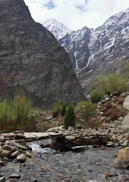 Lahaul Vadisi 'nin vahşi doğası, karla kaplı Himalaya dağları ve dağ ormanlarının manzarası, lahaul ve spiti, himachal pradesh, Hindistan 