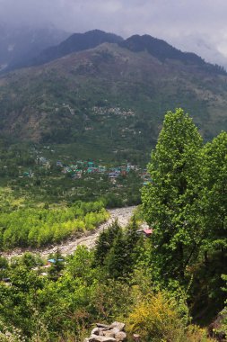 Sisli ve bulutlu yemyeşil orman ve Himalaya dağlarının eteklerinden Kullu Bölgesi 'ndeki Manali tepesi manzarası, Himachal Pradesh, Hindistan
