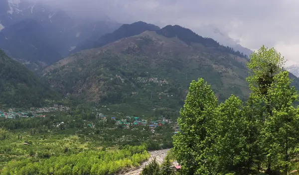 Sisli ve bulutlu yemyeşil orman ve Himalaya dağlarının eteklerinden Kullu Bölgesi 'ndeki Manali tepesi manzarası, Himachal Pradesh, Hindistan