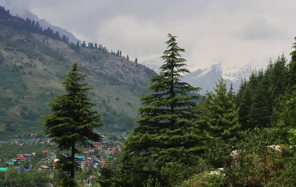 Hindistan 'ın Himachal Pradesh kentindeki kullu bölgedeki güzel tepe istasyonu Manali' den Himalaya Dağları manzaralı.