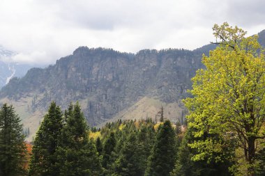 Himalaya 'nın vahşi doğası ve gulaba bakış açısı yakınlarındaki manzaralı dağ manzarası, Hindistan' ın Himachal Pradesh kentindeki ünlü turizm merkezi Manali tepesi.