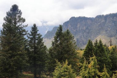 Himalaya 'nın vahşi doğası ve gulaba bakış açısı yakınlarındaki manzaralı dağ manzarası, Hindistan' ın Himachal Pradesh kentindeki ünlü turizm merkezi Manali tepesi.