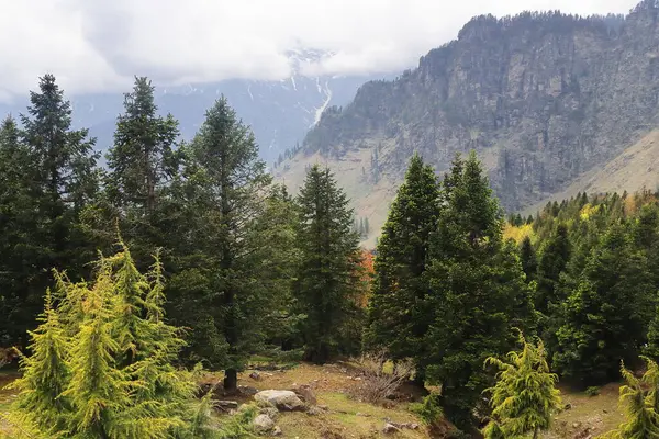 Himalaya 'nın vahşi doğası ve gulaba bakış açısı yakınlarındaki manzaralı dağ manzarası, Hindistan' ın Himachal Pradesh kentindeki ünlü turizm merkezi Manali tepesi.
