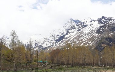 Lahaul Vadisi 'nin güzel uzak dağ köyü, Hindistan' ın Himachal Pradesh şehrinde Himalayalar 'ın karla kaplı zirvesi, lahaul ve spiti manzarası.