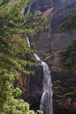 Güzel Jogini Şelaleleri, Hindistan 'ın Himachal Pradesh kentindeki Himalaya eteklerinde bulunan Manali Tepesi' nin popüler bir turistik merkezi.