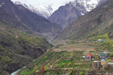 Karla kaplı Himalaya dağlarıyla çevrili güzel vadinin panoraması, dağ köyü ve tarım arazisi kuşları, Hindistan 'ın Himachal Pradesh kentindeki lahaul ve spiti manzarası