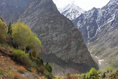 Karla kaplı himalaya dağlarının panoramik manzarası Lahaul 'daki Jispa köyünden vahşi doğa ve Hindistan' ın Himachal Pradesh kentindeki spiti.