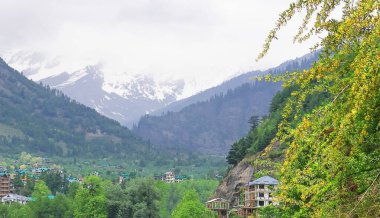 yemyeşil dağ vadisinin panoraması ve karla kaplı himalaya dağları, Kellu, Himachal Pradesh, Hindistan 'daki Manali Tepesi manzarası