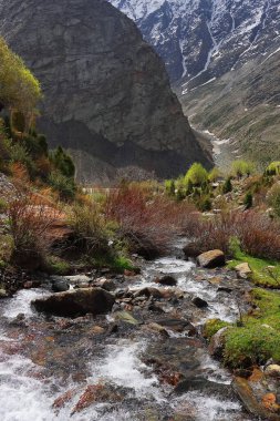 Hilal Pradesh, Hindistan 'daki Lahaul Vadisi' ndeki Himalaya dağlarıyla çevrili güzel uzak bir köy olan Jispa 'da akan dağ deresi.