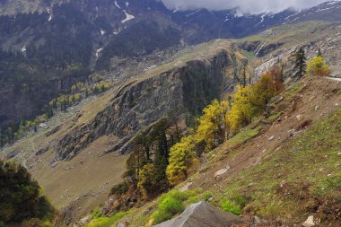 Marhi yakınlarındaki gulaba manzaralı karlı Himalaya dağlarının manzarası (rohtang pass road) sonbahar mevsiminde, Hindistan 'da himachal pradesh' te manali