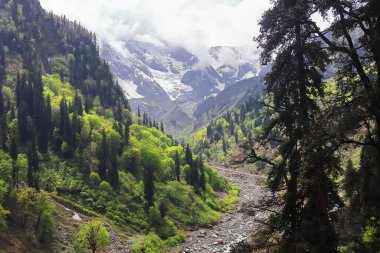Manzaralı dağ manzarası, karla kaplı himalaya ve atal tünelin yanındaki yemyeşil orman, Himachal Pradesh, Hindistan 'daki Kellu Vadisi' ndeki Manali tepesi.