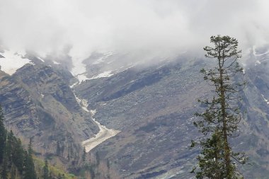 Macera seyahati, karla kaplı Himalaya dağlarının panoramik manzarası ve Kellu Vadisi yakınlarındaki Alp ormanlarının vahşi doğası, Himachal Pradesh, Hindistan