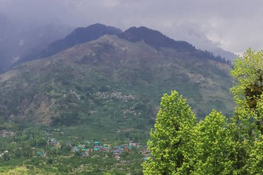 Kukullu vadisindeki Manali tepesinden yemyeşil orman ve sisli himalaya dağlarının panoramik manzarası, Manali 'nin etrafında yürüyüş, himachal pradesh, Hindistan