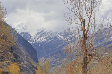 Karla kaplı himalaya dağlarının panoramik manzarası ve sonbaharda Lahaul Vadisi 'ndeki Sissu köyünün güzel kırsal alanı, Hindistan' daki Himachal Pradesh.