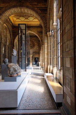 Londra 'daki Doğal Tarih Müzesi' nin kalabalık koridorları. 10 Ekim, Londra, İngiltere.