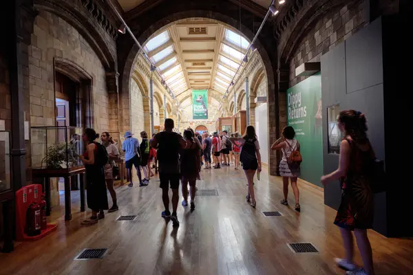 Londra 'daki Doğal Tarih Müzesi' nin kalabalık koridorları. 10 Ekim, Londra, İngiltere.