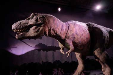 Animatronik bir Tyrannosaurus Rex dinozoru modeli 10 Ekim 2023 tarihinde Londra, İngiltere 'de Doğal Tarih Müzesi' nde