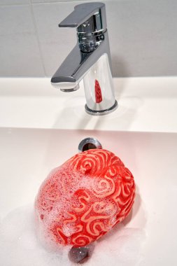 Lavabo Musluğu Altında Kırmızı Kauçuk İnsan Beyni, Beyin Yıkama Konsepti.