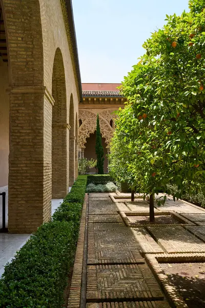 Zaragoza, İspanya 'daki Aljaferia Sarayı' ndaki Santa Isabel avlusunun manzarası, 06-06-2024. 