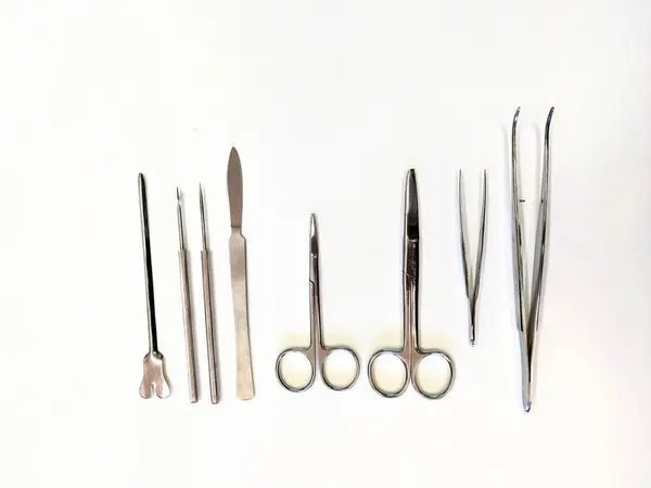 Tıbbi işlemler için kullanılmayı bekleyen beyaz bir duvarda cerrahi aletlerden oluşan bir seçim düzgünce gösteriliyor.