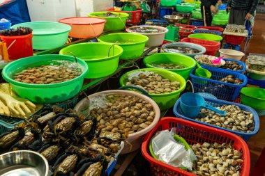 Vietnam pazarında çeşitli konteynırlarda sergilenen taze deniz ürünleri, yerel mutfak ve kültürün sergilendiği.... 