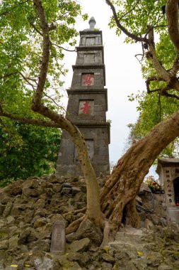Vietnam 'da yemyeşil ağaçlar tarafından çerçevelenmiş taş bir mabet, doğanın ve antik mimarinin huzurlu bir karışımını sunuyor, tarihin bir duygusunu gözler önüne seriyor..