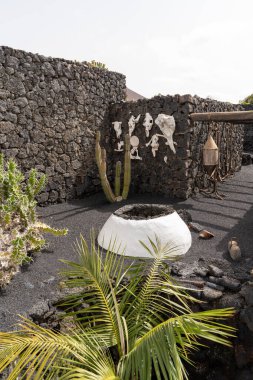 Lanzarote 'deki Cesar Manrique Vakfı' nda güzel bir avlu, sanatsal dekor ve kaktüslerle dolu. Ayarlar eşsiz mimariyi vurguluyor..