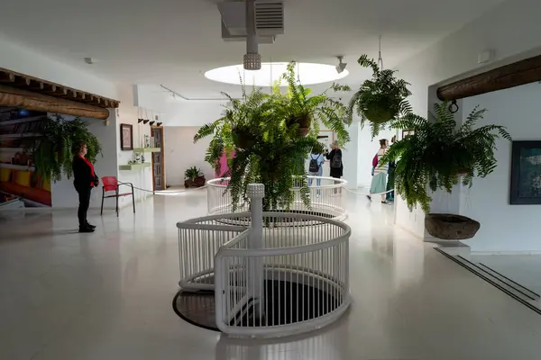 Lanzarote 'deki Cesar Manrique Vakfı' nın içinde eğreltiotu düzenlemeleri ve ziyaretçileri ile eşsiz bir mimari sergileniyor..