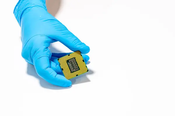 Mavi eldivenli bir el, bilgisayar işlemcisini beyaz arka planda tutar. Teknolojik bir konsept..
