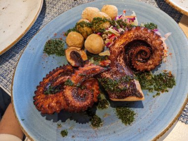 Patatesle servis edilen lezzetli bir tabak ahtapot ve taze ot sosu, tadını çıkarmaya hazır..