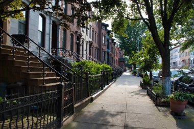 New York 'ta bir yerleşim sokağının manzaralı bir görüntüsü. Kahverengi binalar ve yemyeşil ağaçlar..