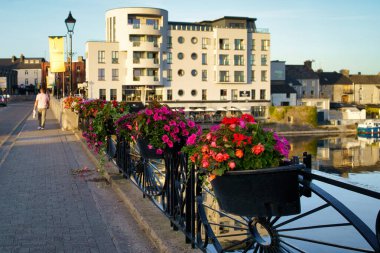 İrlanda 'nın manzaralı bir manzarası köprü boyunca canlı bir çiçek görüntüsü ve suya yansıyan binalar gösteriyor..