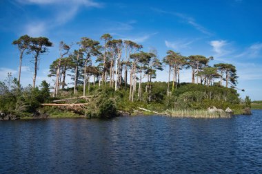 İrlanda 'da parlak mavi bir gökyüzünün altında dingin bir gölde yemyeşil ağaçlarla kaplı pitoresk bir ada..
