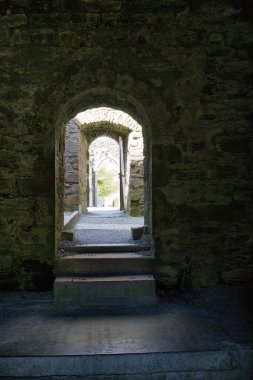 Eski bir İrlanda kalesinde bir dizi taş kemer, açık bir kapı, adımlar yol açar.