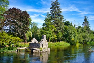 İrlanda 'da su üzerinde eski bir taş kalıntısının manzarası. Bereketli yeşillik ve parlak mavi gökyüzü resimsel manzarayı tamamlıyor..