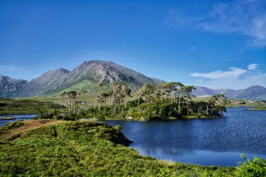 İrlanda 'da dağlar, ağaçlar ve parlak mavi bir gökyüzünün altında bir göl içeren Idyllic manzarası.