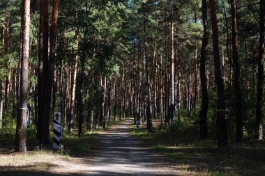 Kiev, Ukrayna 12 Eylül 2020: 1937 'de Kiev yakınlarındaki Bykovnya ilçesinde siyasi baskıdan ölenlerin anısına