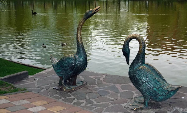 Skulptur Zweier Schwäne Kiewer Stadtpark See — Stockfoto