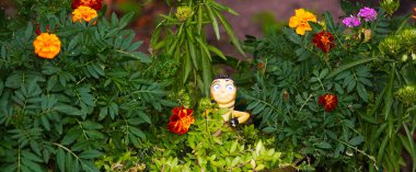 Bahçem bir peri masalına dönüştü.