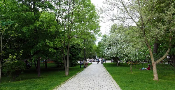 キエフ ウクライナ2021年5月29日 キエフ市内の タラス シェフチェンコ にちなんで名付けられた公園内の路地 — ストック写真
