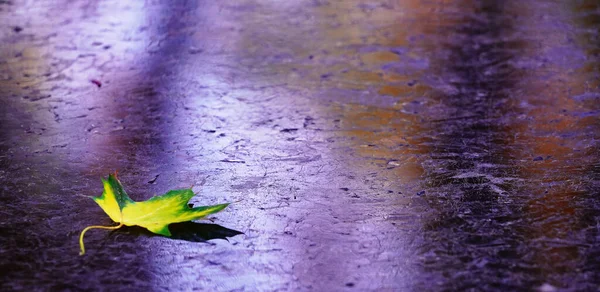 Smutný Podzimní List Tmavém Mramoru — Stock fotografie