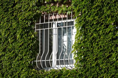 Kyiv, Ukrayna 3 Haziran 2023: Kyiv kentindeki bir loach tesisi beşinci kata kadar uzanan bir yerleşim alanını kapsıyor