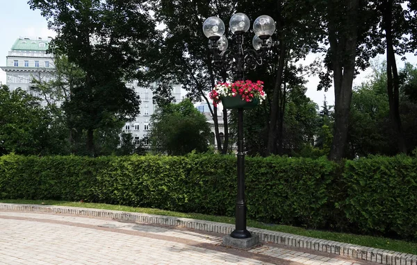 Kiev Ucrania Junio 2023 Linterna Iluminación Vintage Flores Parque Shevchenko —  Fotos de Stock