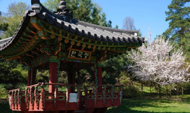 Kyiv Ukrayna 11 Nisan 2024: Kiev Botanik Bahçesi 'nde çiçek açan ağaçların arasında eski geleneksel Kore evi