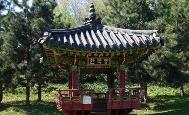 Kyiv Ukrayna 11 Nisan 2024: Kiev Botanik Bahçesi 'nde çiçek açan ağaçların arasında eski geleneksel Kore evi