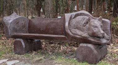 Kyiv, Ukrayna 27 Ocak 2025: Ulusal Yaşam ve Çevre Bilimleri Üniversitesi Botanik Bahçesi bölgesindeki tek bir odun parçasından oyulmuş bir kurt ile Bench 