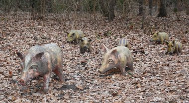 Kyiv, Ukrayna 27 Ocak 2025: Ukrayna Botanik Bölgesi 'nde tek bir odun parçasından oyulmuş bir yaban domuzu ailesinin heykeli