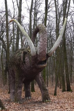 Kyiv, Ukrayna 27 Ocak 2025: Ulusal Yaşam ve Çevre Bilimleri Üniversitesi Botanik Bahçesi topraklarında dev bir mamutun heykeli